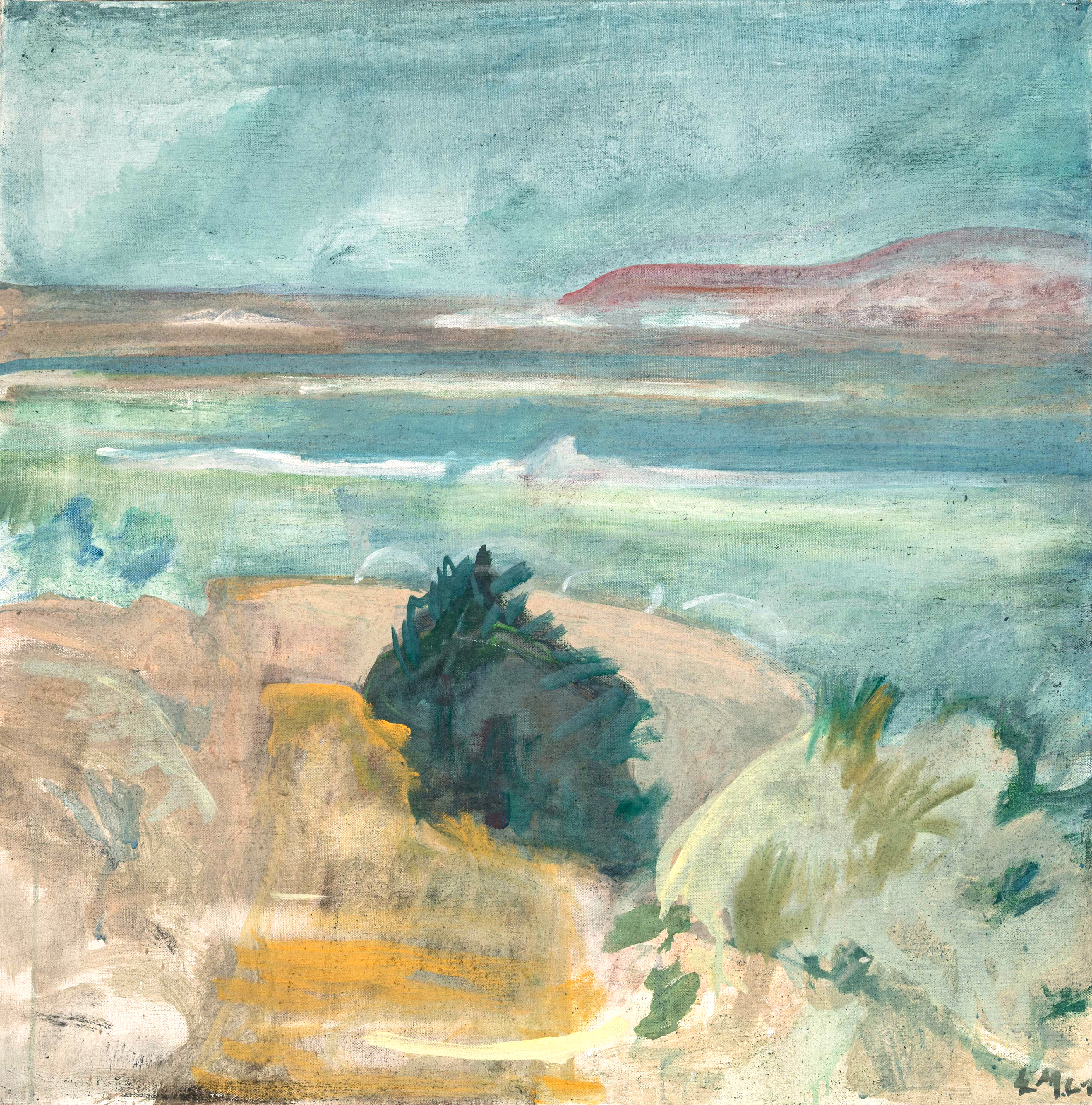 Strauch am Meer